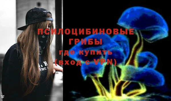 a pvp Богородск
