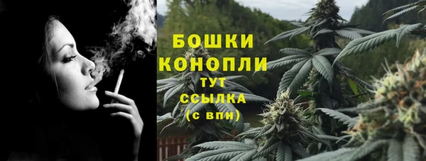 сатива Богородицк