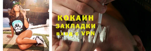 сатива Богородицк
