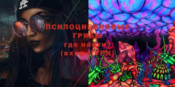 a pvp Богородск