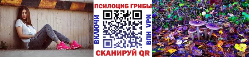 Псилоцибиновые грибы Cubensis  Купить где  Заозёрск 